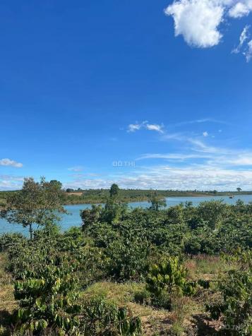 Bán đất view hồ đẹp lung linh, đang trồng cà phê, Hà Mòn, Đắk Hà, Kon Tum 13995866