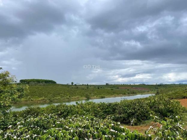 Bán đất ôm trọn mặt hồ, đang trồng cà phê, Đắk Mar, Đắk Hà, Kon Tum 13995871