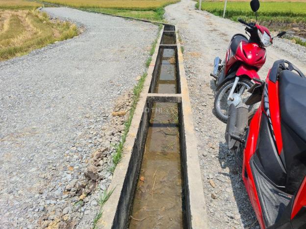 Đất đẹp xã Nhuận Đức Củ Chi thích hợp đầu tư 13997622