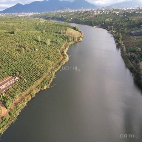 1,4 ha rẫy đầu tư homestay tại trung tâm Xã Quảng Tân, Huyện Tuy Đức, Tỉnh Đắk Nông 14004585