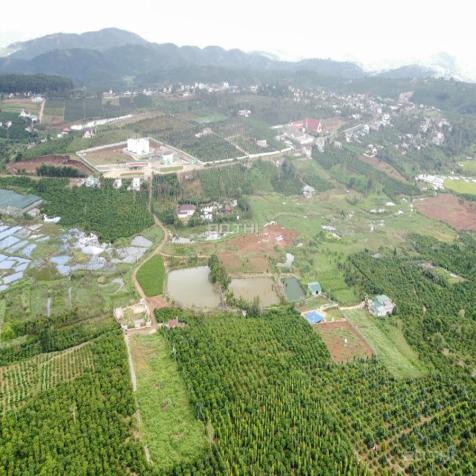 1,4 ha rẫy đầu tư homestay tại trung tâm Xã Quảng Tân, Huyện Tuy Đức, Tỉnh Đắk Nông 14004585