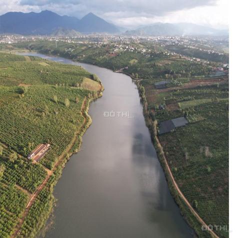 1,4 ha rẫy đầu tư homestay tại trung tâm Xã Quảng Tân, Huyện Tuy Đức, Tỉnh Đắk Nông 14004585