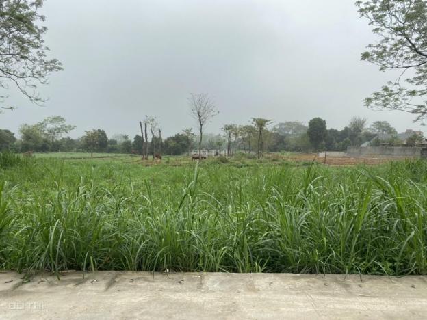 Chính chủ gửi bán lô đất tại Yên Thái - Đông Yên - Quốc Oai - Hà Nội diện tích 229m2 14005063