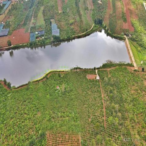 Bán 784 m2 đất, mặt đường 11m, đường nhựa Xã Quảng Tâm, Huyện Tuy Đức, Đắk Nông 14005325