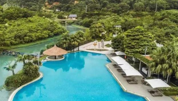 Bán đất nền dự án villas resort 10633 m2/ giá 62 tỷ Thạch Thất, Hà Nội 14006221