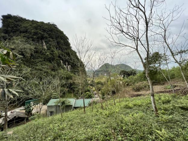 Cần bán gấp lô đất có diện tích 3.253m2 phù hợp làm nghỉ dưỡng tại Cao Sơn, Lương Sơn, Hoà Bình 14009129