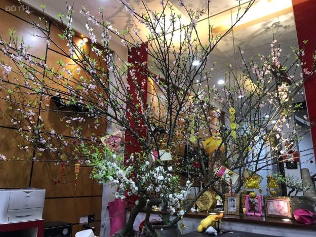 Bán nhà trục chính Đa Sỹ - Đường 25m, kinh doanh đỉnh cao, 57m2, 9,5 tỷ 14013621