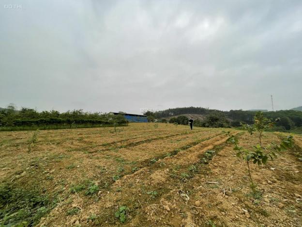 Cần bán gấp mảnh đất tại Lạc Hưng - Yên Thuỷ - Hoà Bình 21000m2, xây dựng resort, homestay 14014618