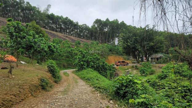 Cần bán gấp mảnh đất tại Lạc Hưng - Yên Thuỷ - Hoà Bình 21000m2, xây dựng resort, homestay 14014618