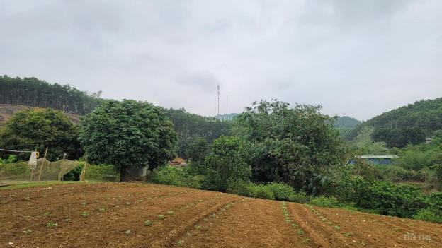 Cần bán gấp mảnh đất tại Lạc Hưng - Yên Thuỷ - Hoà Bình 21000m2, xây dựng resort, homestay 14014618