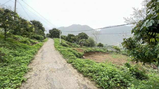 Bán nhanh 1.800m2 đất thổ cư giá rẻ nhất thị trường tại Lương Sơn, Hòa Bình 14014995