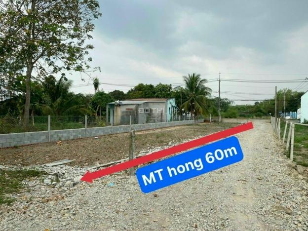 Bán đất hai mặt tiền đường Nguyễn Thị Nê, xã Phú Hòa Đông, Củ CHi diện tích 10x60m 14016019