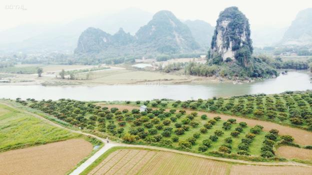 Chính chủ cần bán 8000m2, 800m2 đất ở bám sông Bôi cách Tỉnh Lộ 12B chỉ khoảng 300m 14018511