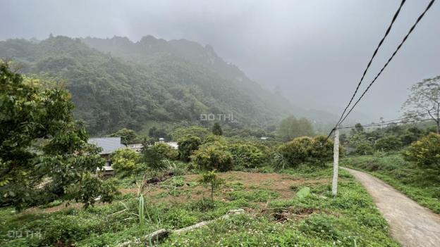 Diện tích 1800m2 có 400m2 đất thổ cư (đã có sổ đỏ) 14021975