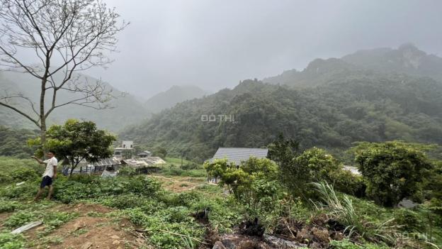 Diện tích 1800m2 có 400m2 đất thổ cư (đã có sổ đỏ) 14021975