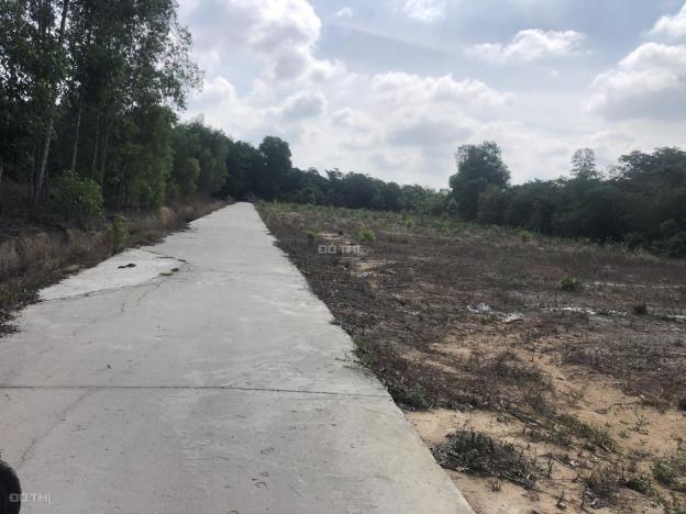 Bán đất Ấp 5 Xã Phước Bình 1357m2, Huyện Long Thành 14023516