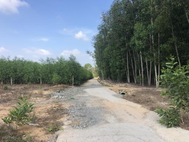 Bán đất Ấp 5 Xã Phước Bình 1357m2, Huyện Long Thành 14023516