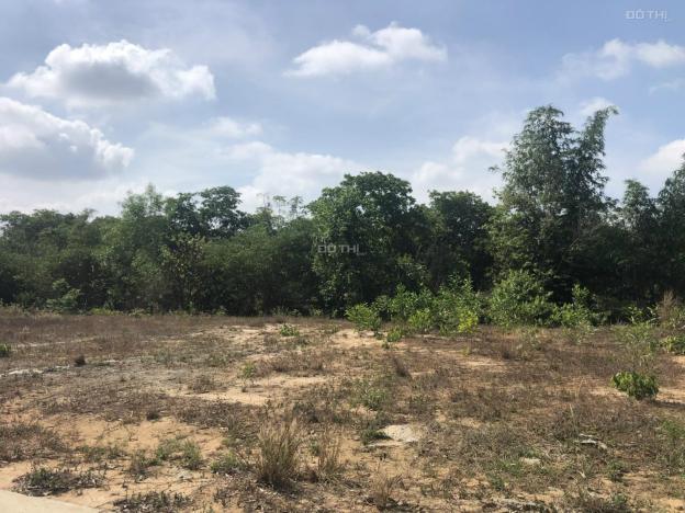 Bán đất Ấp 5 Xã Phước Bình 1357m2, Huyện Long Thành 14023516