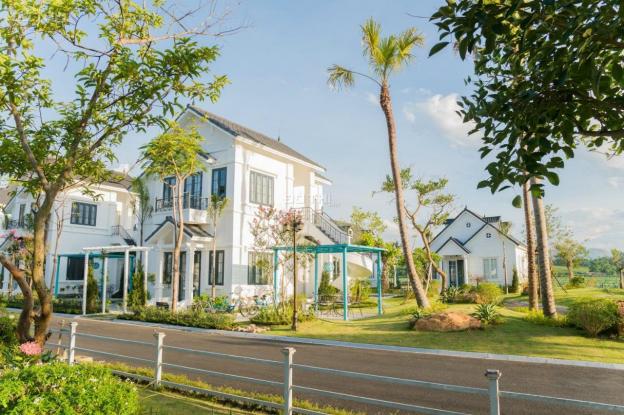 Chuyển nhượng, bán gấp biệt thự nghỉ dưỡng Khoáng Nóng Vườn Vua Resort Thanh Thủy - 260m2 full NT 14024678