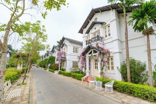 Chuyển nhượng, bán gấp biệt thự nghỉ dưỡng Khoáng Nóng Vườn Vua Resort Thanh Thủy - 260m2 full NT 14024678