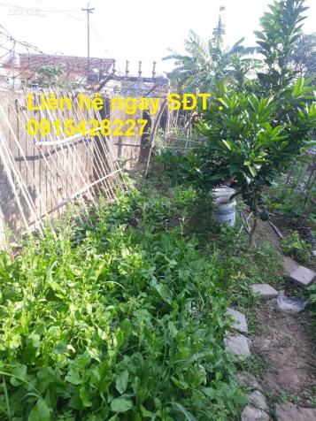 Chính chủ cần bán lô đất vị trí đẹp tại Nam Định 14035959