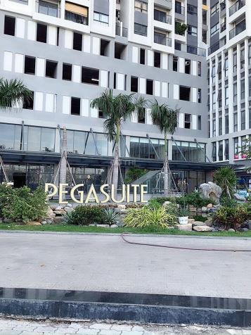The Pegasuite - officetel 35m2 1,53 tỷ 1 PN view công viên có sẵn máy lạnh, rèm cửa 14036021