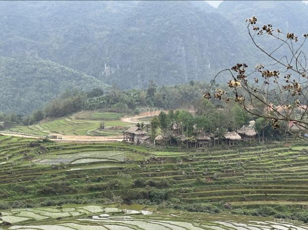 Gần 4000m2 full thổ cư tại Pù Luông, Bá Thước, Thanh Hóa - Siêu phẩm khan hiếm, độc nhất 14036944
