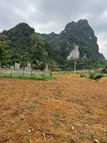 Cần bán 2300m2 thổ cư view vị trí đẹp tại Kim Bôi, Hòa Bình 14039480