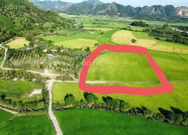 Cần bán đất nông nghiệp bám đường Liên Xã 90m tại đường DH90, Cát Tiên, Lâm Đồng 14043714