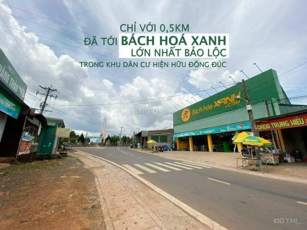 Bán đất nghỉ dưỡng Lộc Ngãi - Bảo Lâm - Lâm Đồng 14044083