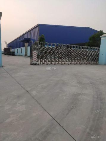 Cho thuê 1800m2 xưởng ở Ngũ Phúc, Kim Thành, xưởng mới dựng, có PCCC 14046249