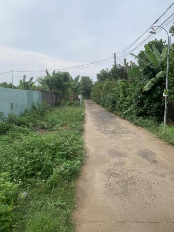 Bán gấp 7 sào đất đẹp và giá ngộp tại ấp Ruộng Tre Xã Bảo Quang, Long Khánh, Đồng Nai 14046349