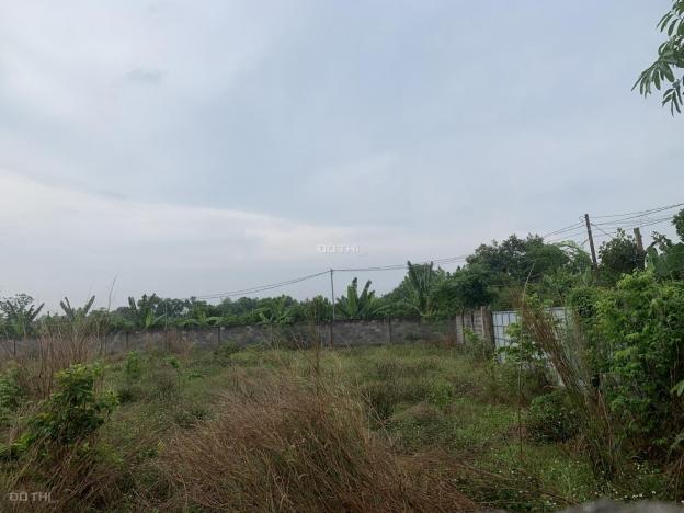 Bán đất đẹp có 2 mặt tiền dài 150m tại ấp Ruộng Tre, Xã Bảo Quang, Long Khánh 14046371