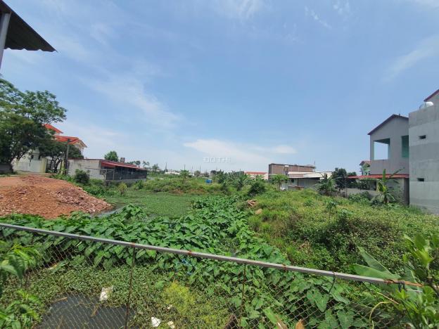 Bán đất tại xã Tiền Phong, Yên Dũng, Bắc Giang diện tích 204m2 14051285