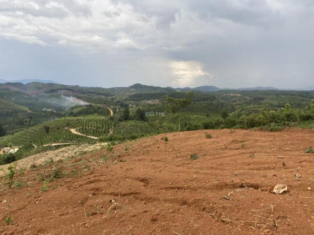 Bán đất view đẹp săn mây siêu đỉnh tỉnh Đắk Nông 14057780