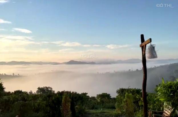 Bán đất view đẹp săn mây siêu đỉnh tỉnh Đắk Nông 14057780