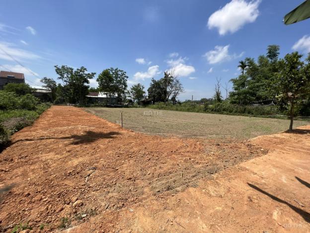 Bán đất Điện Tiến, đường ô tô tận đất, ngay đầm sen lớn nhất Điện Tiến 14058072