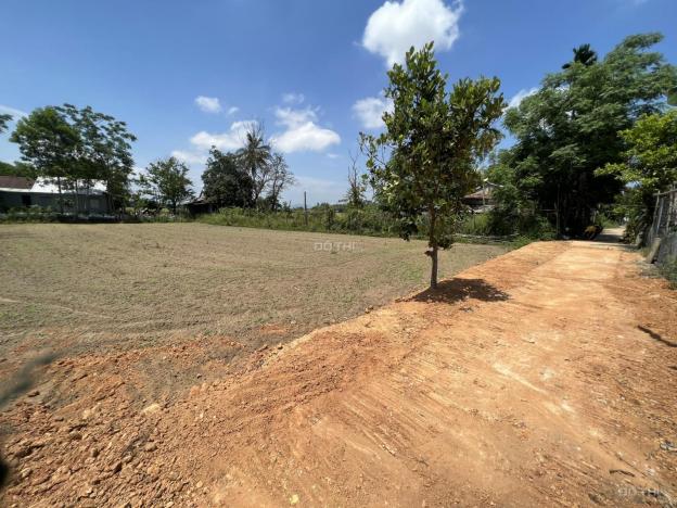 Bán lô đôi 10m x 23m, thích hợp xây nhà vườn, biệt thự mini, khu du lịch Đầm Sen 14058123