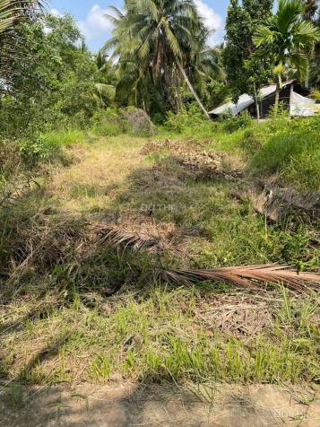 Bán đất tại Xã Phú An Hòa, Châu Thành, Bến Tre diện tích 125m2 giá 490 triệu 14058323