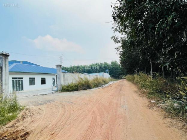 Bán đất tại đường An Điền 083, Phường An Điền, Bến Cát, Bình Dương diện tích 1127m2 giá 4,65 tỷ 14058830