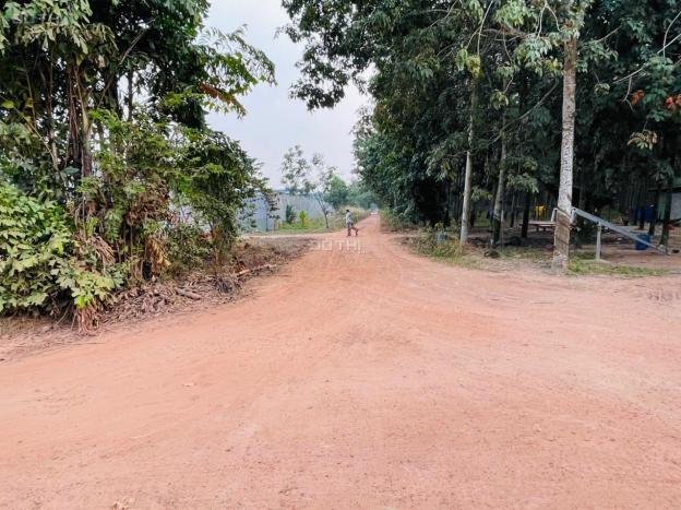 Bán đất tại đường An Điền 083, Phường An Điền, Bến Cát, Bình Dương diện tích 1127m2 giá 4,65 tỷ 14058830