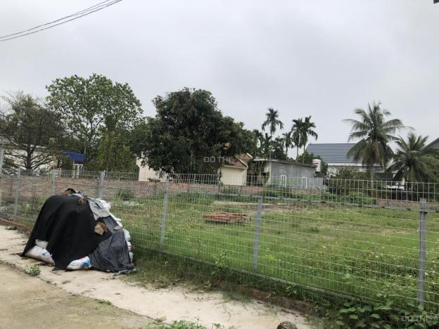 Bán đất tại thôn Thành Công, Đặng Cương, An Dương - Hơn 600m2 đầu tư là sinh lời 14058921