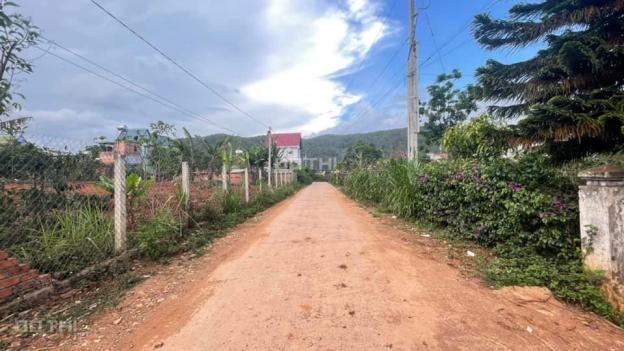 Chính chủ bán đất Suối Thông A2 xã Đạ Ròn Đơn Dương Lâm Đồng 14061648