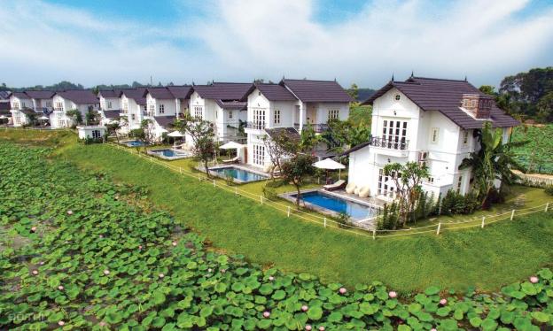 Bán suất ngoại giao biệt thự Vườn Vua Resort, view trực tiếp đầm sen, có bể bơi trong nhà giá 6 tỷ 14062992