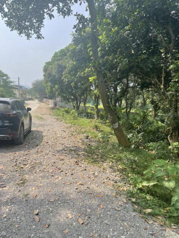 Cần bán siêu phẩm 2770m2 đất tại tiểu khu 14 Lương Sơn, tỉnh Hòa Bình, view cực đẹp rẻ nhất 2022 14066204