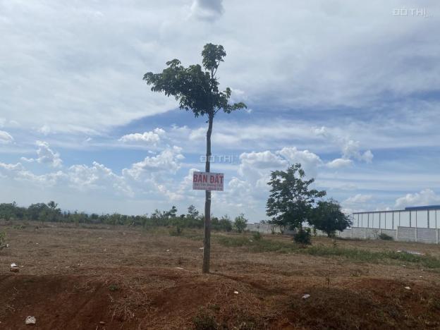 Bán đất tại Xã Cư Ebur, Buôn Ma Thuột, Đắk Lắk diện tích 5029,9m2 14067250
