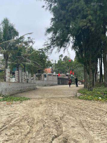 Cần Bán gấp mảnh đất vàng làm khu nghỉ dưỡng Quảng Hùng Sầm Sơn Thanh Hoá 2000m2, 50m mặt tiền 14067594