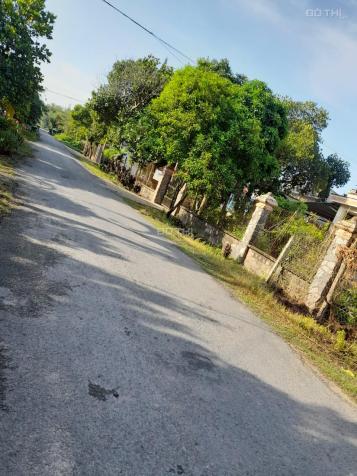 Bán đất thổ cư tại Xã Nhuận Đức, Củ Chi, Hồ Chí Minh diện tích 750m2 giá 7.5 tỷ 14068498