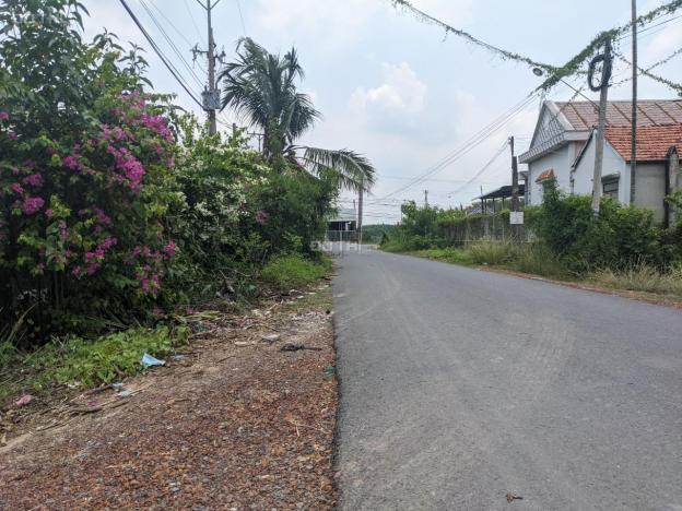 Bán đất đường xe công tại phường Gia Lộc thị xã Trảng Bàng, Tây Ninh. DT 4500m2 14069306