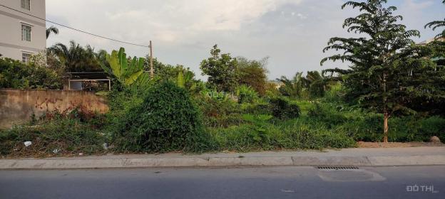 4. X tỷ mua 100m2 đất gần QL1A An Phú Đông Q12, XD cao tầng 14070167